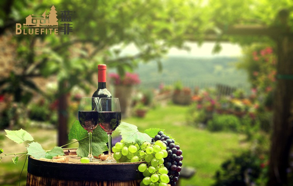 葡萄酒產(chǎn)業(yè)升級,提高葡萄酒安全質(zhì)量是關(guān)鍵